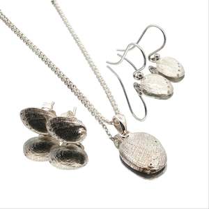 Regular Priced: The Haliotis Iris Set