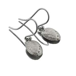 Sterling Silver Pāua Haliotis Hook Earrings