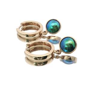 9ct Yellow Gold Paua Pearl Udana Earrings