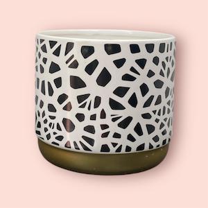 Savannah Chic Pot 12cm