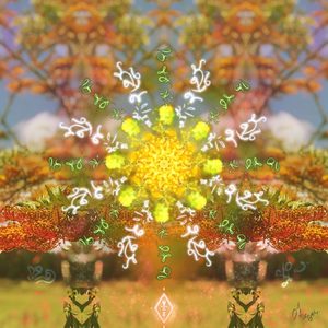 Sacred December Month Gift Combo – Arayah’s Compass