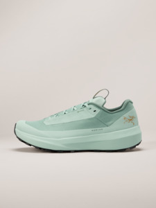 Mens Footwear: Norvan LD 4 GTX Shoe Men's