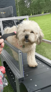 Products: Mini Slatmill