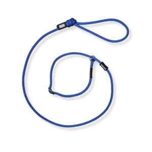 Slip Leashes: Benmore Dog Slip Leash