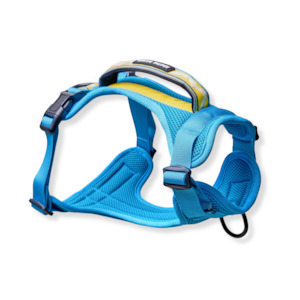 Arctic Sammy Adventure Dog Harness - Teal
