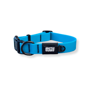 All Dog Leashes: Teal Terraflow Waterproof Dog Collar