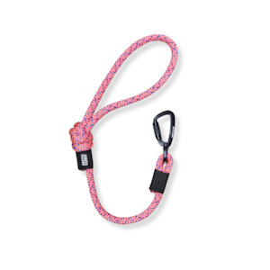 Traffic Leashes: Ohau City Walker Dog Traffic Leash