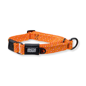 Martingale Collars: Hawea Martingale Collar