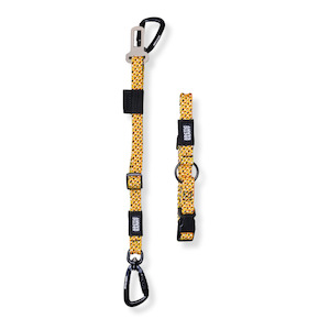 Raglan Collection: 3-in-1 Dog Car Tether Raglan