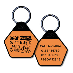 All: Dog ID Tag - Dear Santa