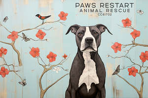 Gifts Under 30: Paws Restart Animal Rescue