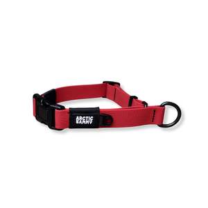 New: Ruby Red Terraflow Waterproof Martingale Dog Collar