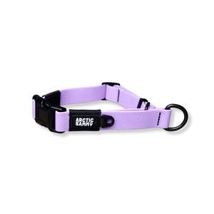New: Lavender Terraflow Waterproof Martingale Dog Collar