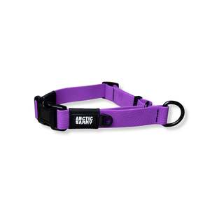 Purple Terraflow Waterproof Martingale Dog Collar