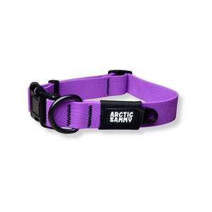 Dog Collars: Purple Terraflow Waterproof Dog Collar
