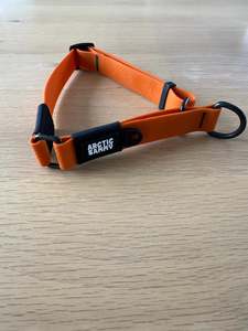 Custom Orange Terraflow Martingale Collar  - No buckles, 40cm neck size