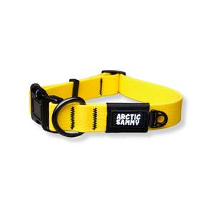 New: Custom Mustard Yellow Terraflow Waterproof Dog Collar - 40cm Neck Size