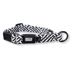 Aoraki Martingale Collar