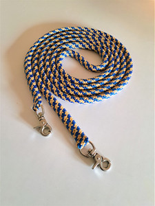 Standard Reins Areion