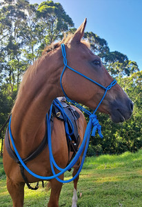 Products: Hackamore Spliced Rope Halter Areion