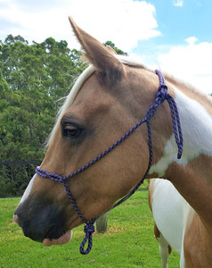 Products: Spliced Knotless Rope Halter Areion