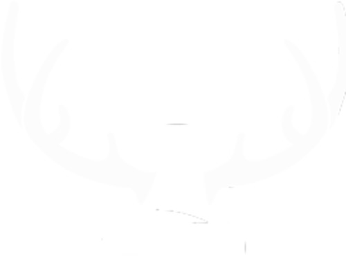 Book a Private Stag Do Game - Game Bond to Secure Slot