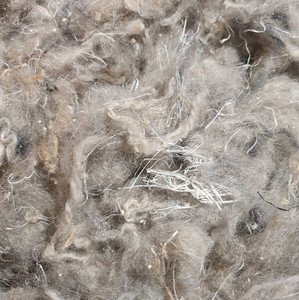 WOOL PLUS Arena Surfaces NZ