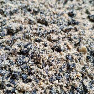 Products: SHRED-RIDE 50/50 Arena Surfaces NZ