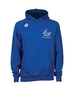 Home Page: Aquabladz Unisex Hooded Panel Sweatshirt - Royal