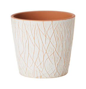 Products: Page 8 of 8 Armano Home and Garden Collections