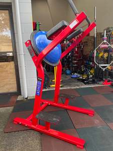 Machines: NZ POWER BOSU HANGING LEG RAISE MACHINE