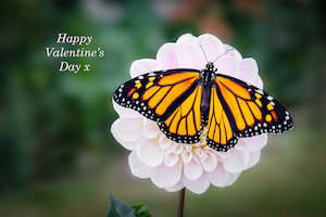 Card - Valentine's Day