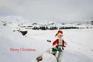 Card - Merry Christmas (Castle Hill)