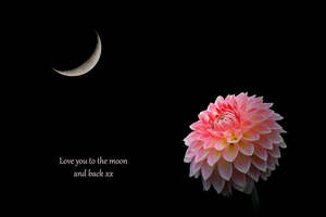 All: Gift Card - Love you to the moon and back