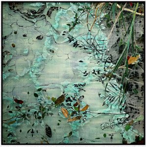 Printed Wall Art – Modern Elegance for Any Space