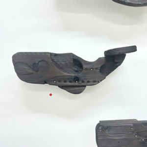 Kāhui Tohorā 5 no.4