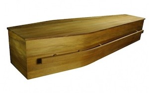 Archetype Silver Beech - Aroha Funerals