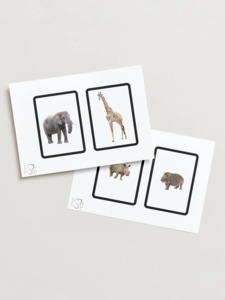 PDF Download Montessori Toddler Classified Cards - Wild Animals - Aroha Nui Mont&hellip;