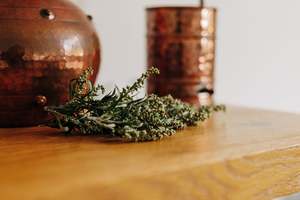 Products: The Plant Alchemist