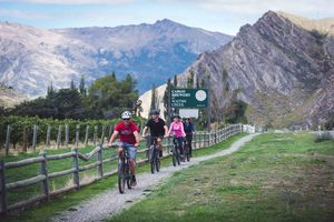 Bike The Wineries Half Day - Queenstown, NZ