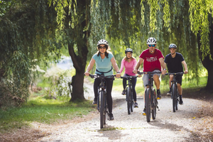 Queenstown to Arrowtown or Gibbston Valley Mountain Bike