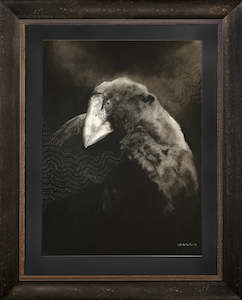 artwork: Takahē - The Hermit