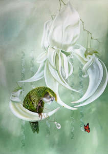 Elizabeth Morrison: Koru te toa paku - Koru the little fighter