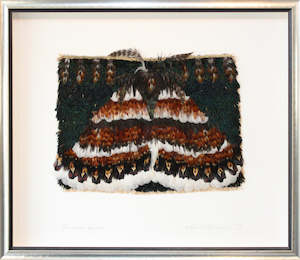 Melanie Richardson: Paranotoreas opipara