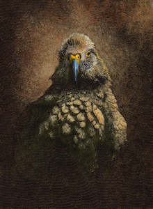 Gareth Barlow: King of the Alps