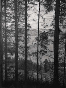 Isaac Petersen: Branches