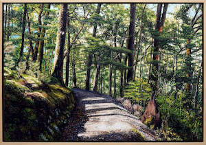 Sam Foley: Summer Routeburn Loop Track III