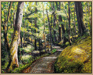 Sam Foley: Summer Routeburn Loop Track V