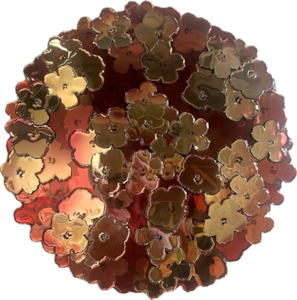 Sally Bulling: Frizzle Sizzle Mix