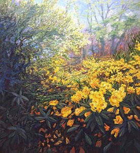 Raquel Clarke: Miyama Gold